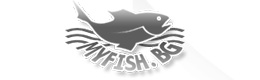 Изработка уеб сайт за iFish.bg